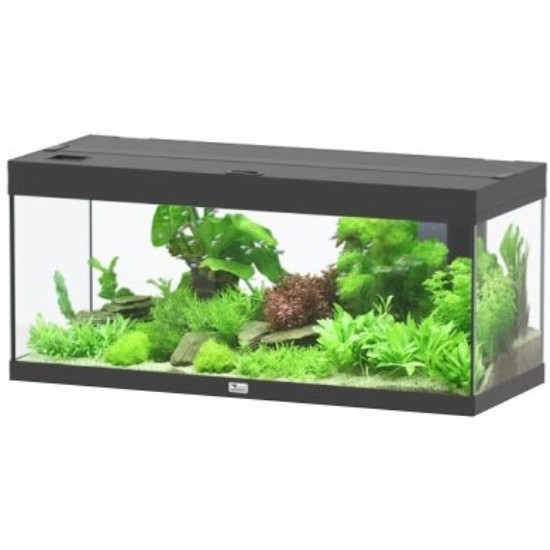 Aquário Prestige 100x40 Preto Aquário Prestige 100x40 Preto