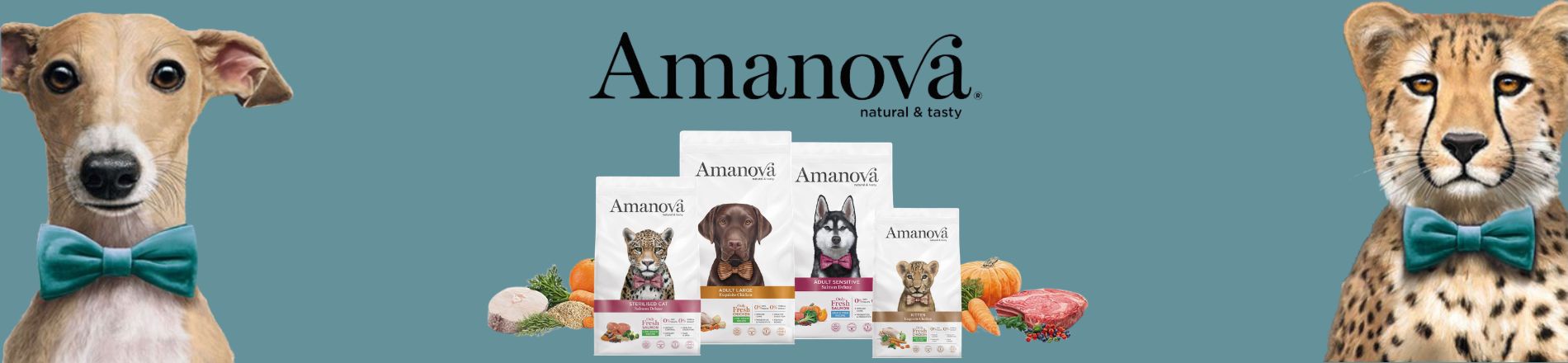 bn_Amanova